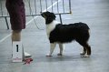 IMG_0569