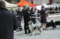 IMG_0572