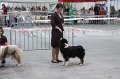 IMG_0585