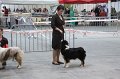 IMG_0586