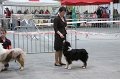 IMG_0587