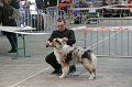 IMG_0599