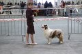 IMG_0600