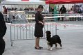 IMG_0601