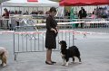 IMG_0602