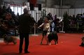 IMG_0630