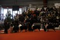 IMG_0657