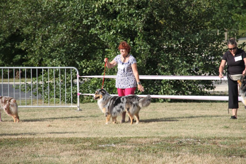 IMG_0064.JPG