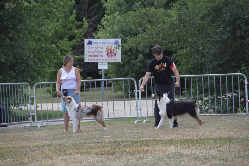 IMG_0244.JPG