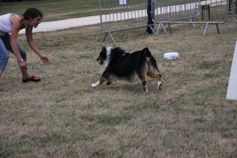 IMG_0339.JPG