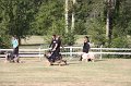 IMG_0041