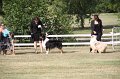 IMG_0052