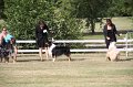 IMG_0053