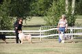 IMG_0055