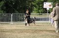 IMG_0059