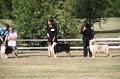 IMG_0072