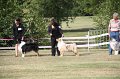 IMG_0074