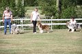 IMG_0077