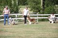 IMG_0078