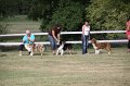 IMG_0084