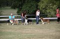 IMG_0085