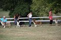 IMG_0086