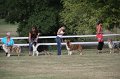 IMG_0087