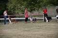 IMG_0089