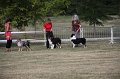 IMG_0091
