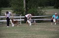IMG_0092