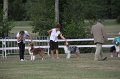 IMG_0099