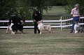 IMG_0100