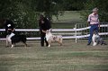 IMG_0103