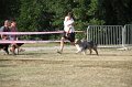 IMG_0104
