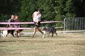 IMG_0105