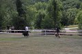 IMG_0135