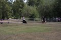 IMG_0141
