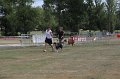 IMG_0142