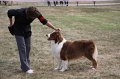 IMG_0158
