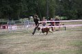 IMG_0164
