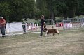 IMG_0167