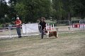 IMG_0168