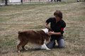 IMG_0181