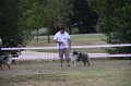 IMG_0226