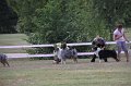 IMG_0228