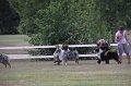 IMG_0229