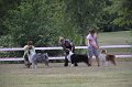 IMG_0230