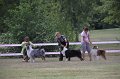 IMG_0231