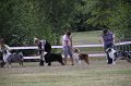 IMG_0233