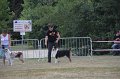 IMG_0242